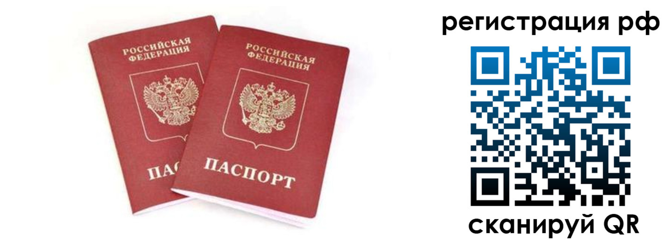 регистрация для школы в Новгородской области